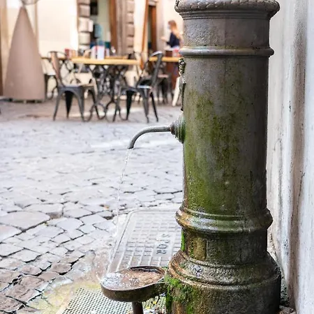 Navona 
